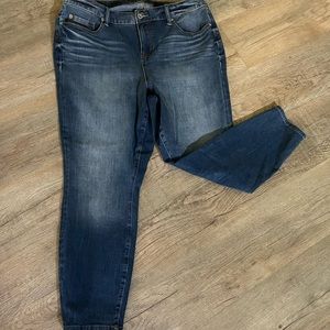 Torrid Jeans